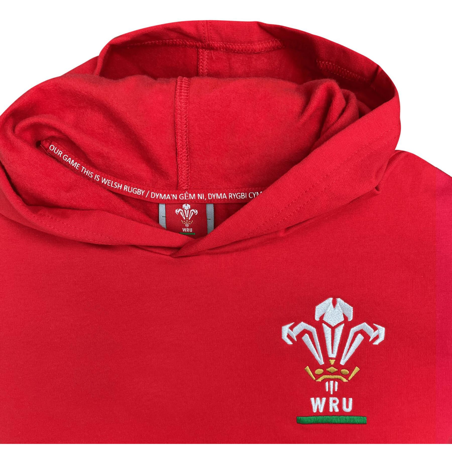 Camisola com capuz Pays de Galles Rugby XV Merch CA Groc