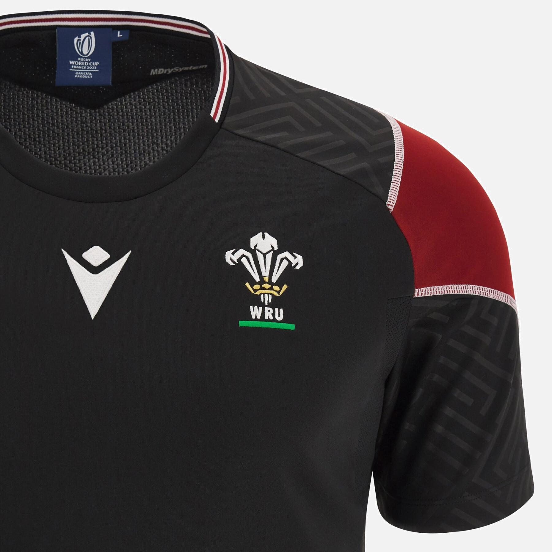 Camisa de treino Pays de Galles 2023
