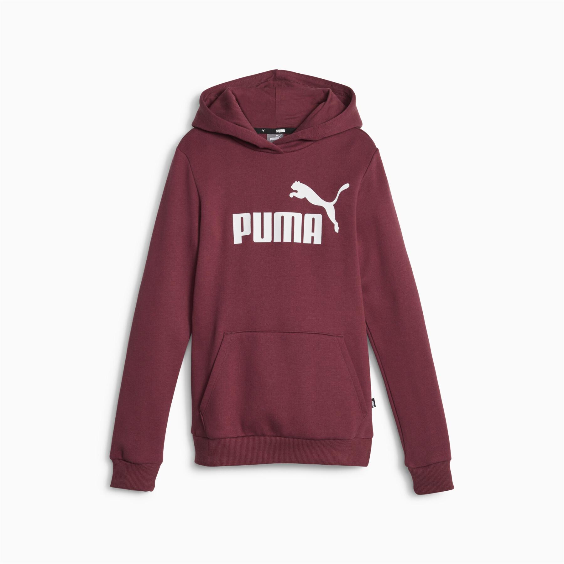 Moletom com capuz para rapariga Puma ESS Logo FL