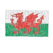 T-shirt criança Pays de Galles Rugby XV 2020/21